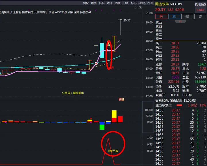 金钻套装【新月板】涨停回马枪通达信指标公式，高成功率 解密