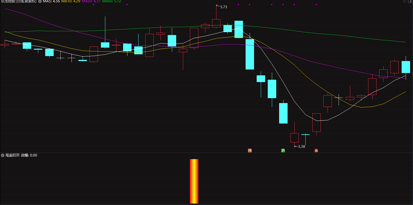 金钻尾盘核武器尾盘阳买副图+选股（胜率远超70%）插图2