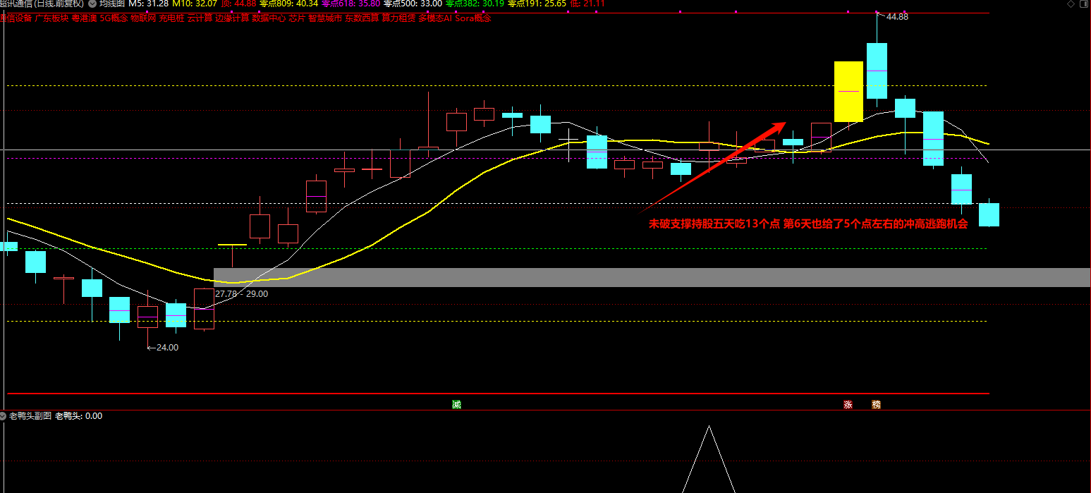 精品老鸭头短线吃肉指标 3月成功率100%插图7