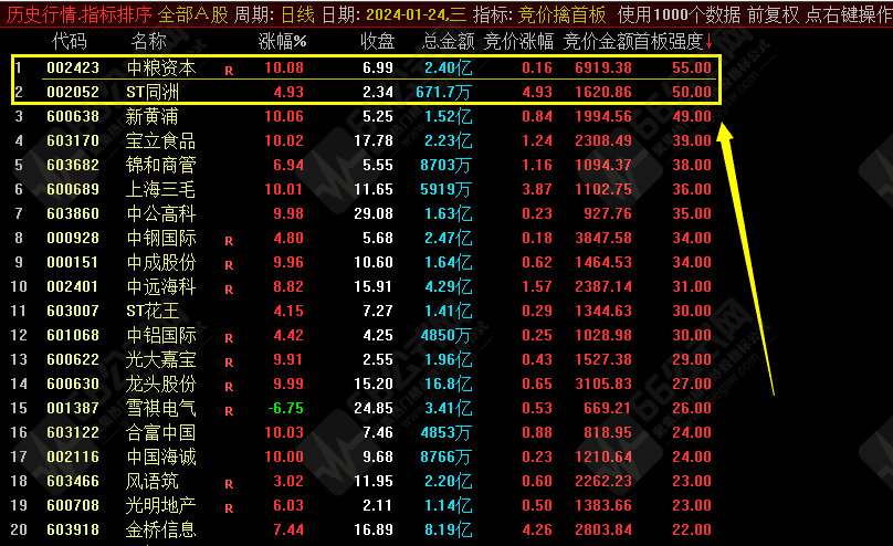 【竞价擒首板】排序专抓首板涨停板指标 全天信号不变插图1