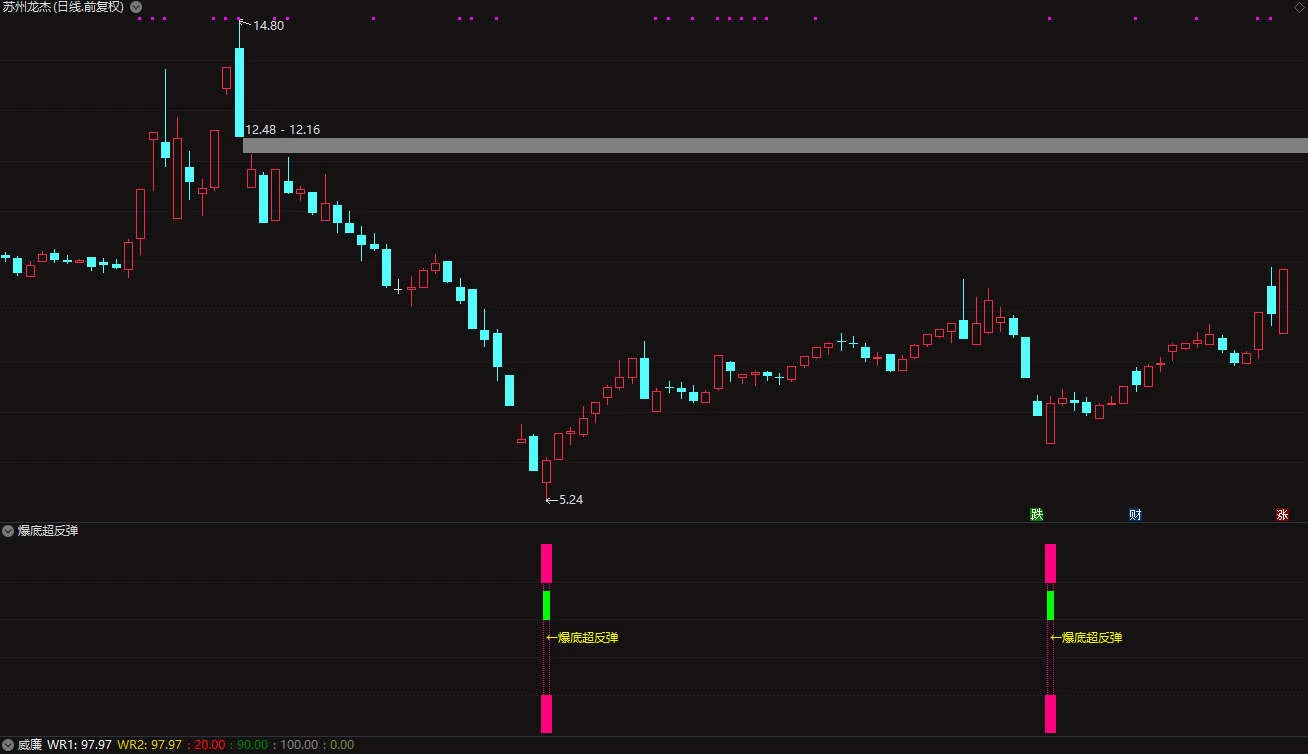 通达信金钻爆裂反弹副图/选股 专注于抄底成功率90%插图5