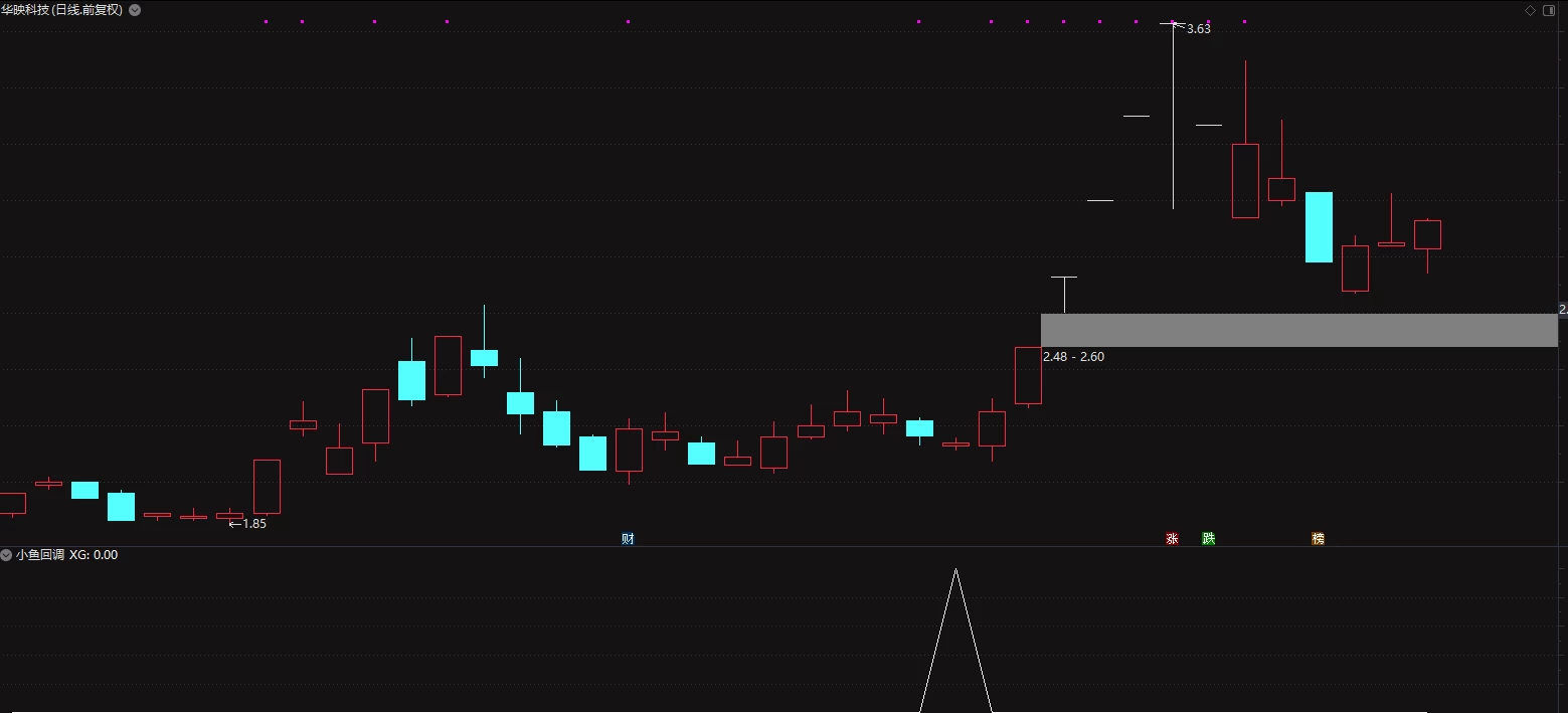 通达信【小鱼回调】副图/选股 买在小K线、坐等主力抬轿大涨 源码插图3